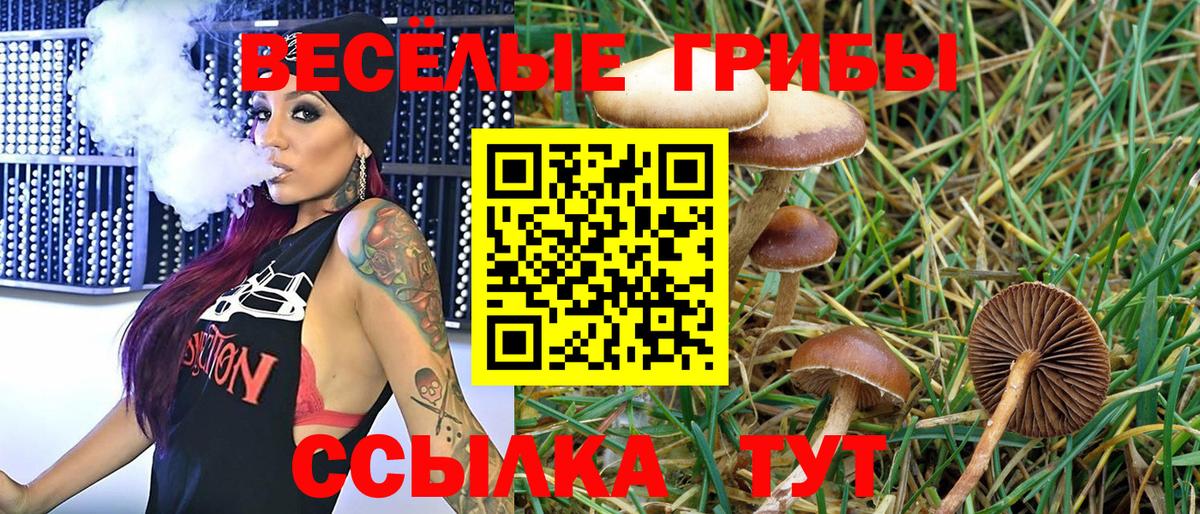 Дербент  Псилоцибиновые грибы мухоморы  Вход с VPN  Псилоцибиновые грибы ЛСД 